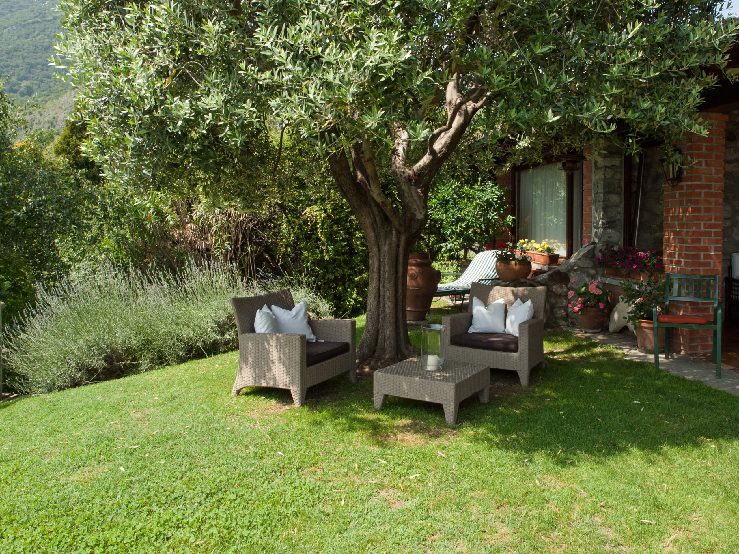 Salon de jardin en rotin sous un olivier ombragé, face à une maison en pierre et briques avec des fleurs en pot.